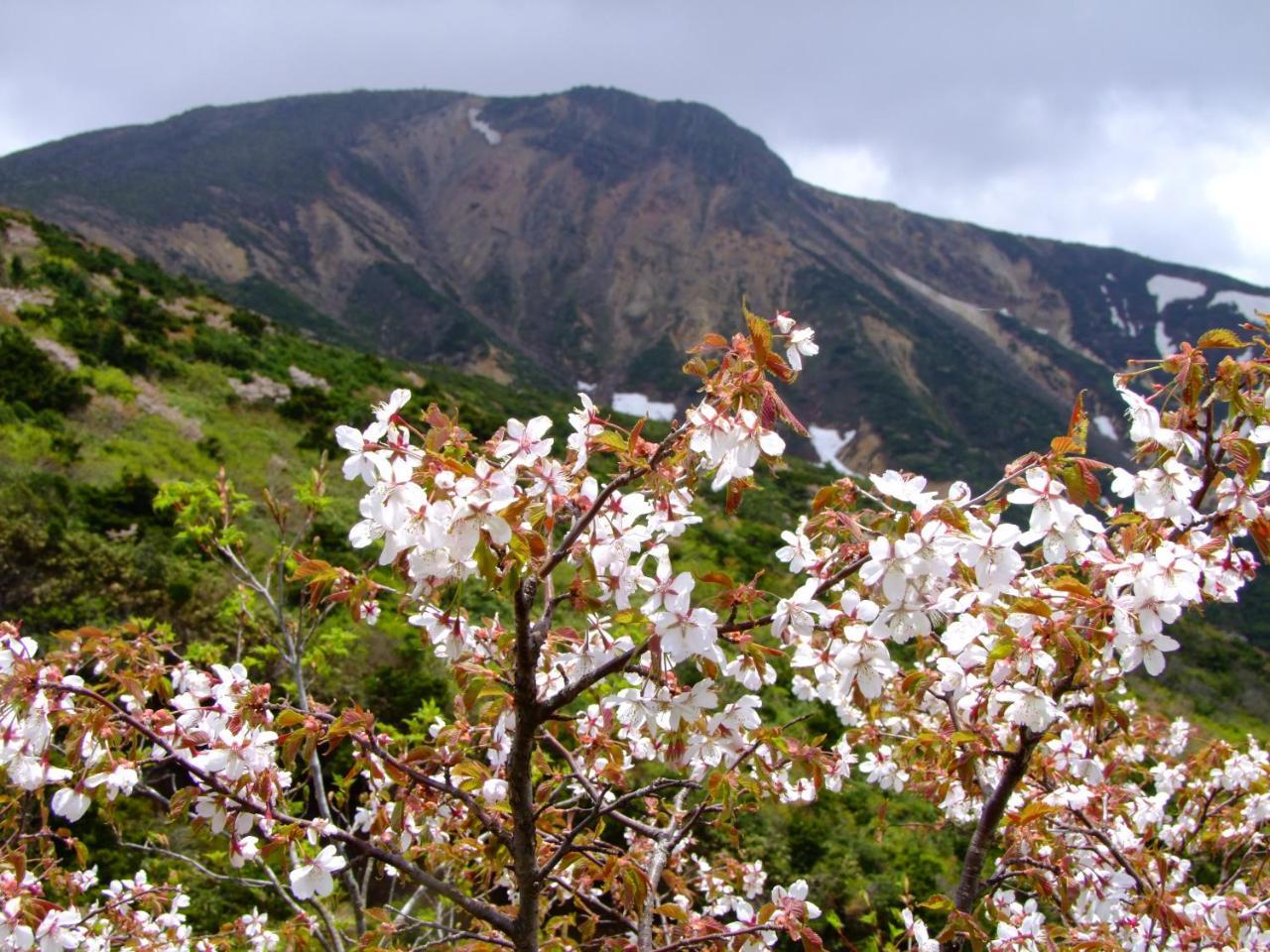 伊藤屋 Yamagata (Yamagata) Exterior foto