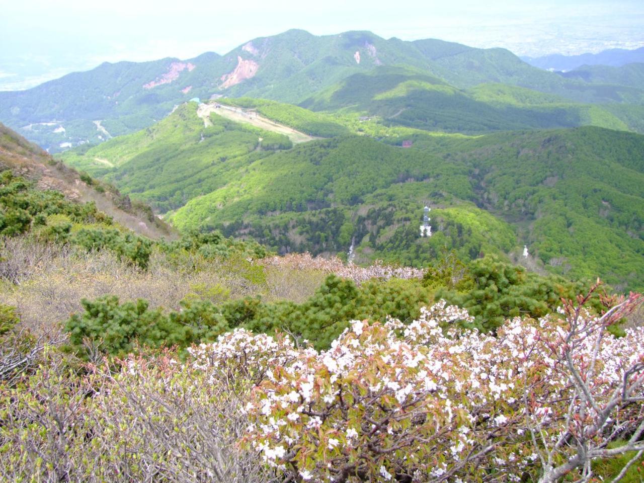 伊藤屋 Yamagata (Yamagata) Exterior foto